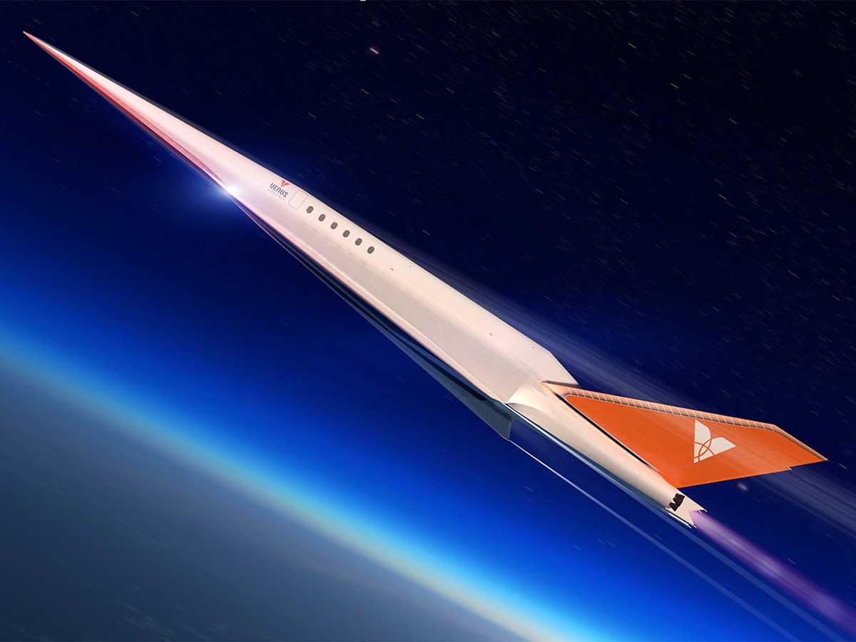 Venus Stargazer 6.jpg