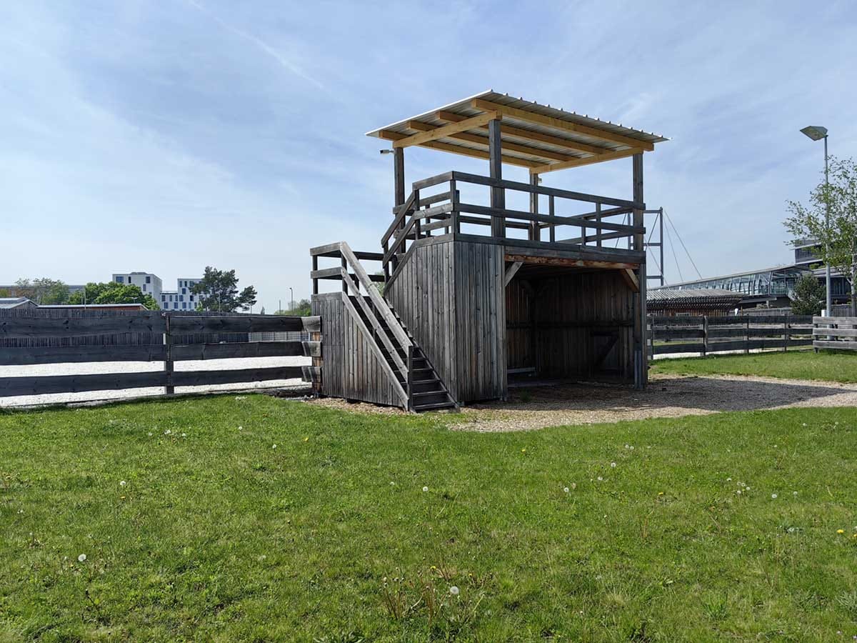 Huawei P60 Pro 8.jpg