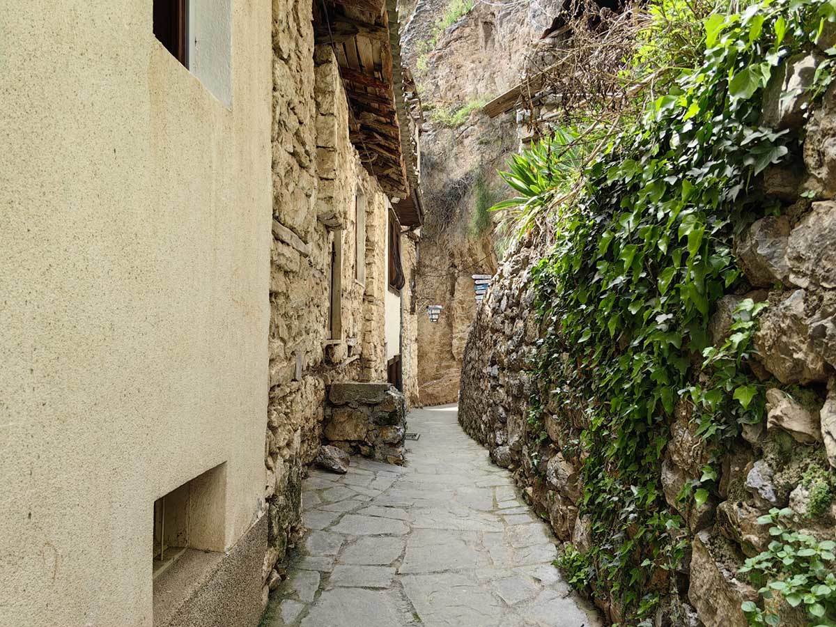 Huawei P60 Pro slike danju 7.jpg