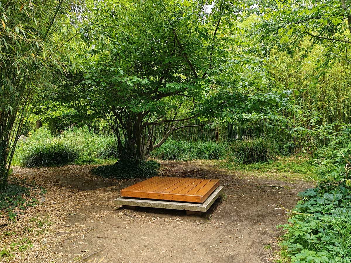 HONOR 90 kamere dan 15.jpg