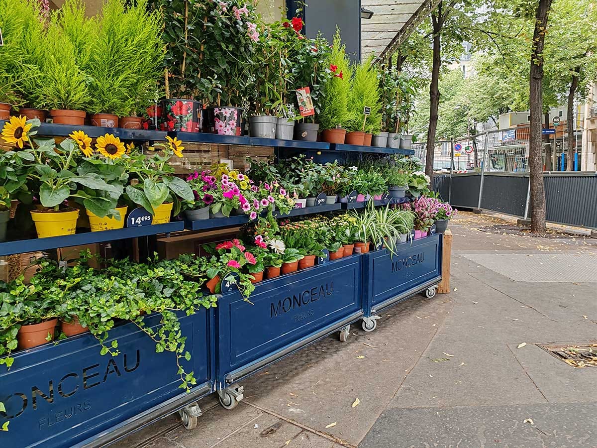 HONOR 90 kamere dan 9.jpg