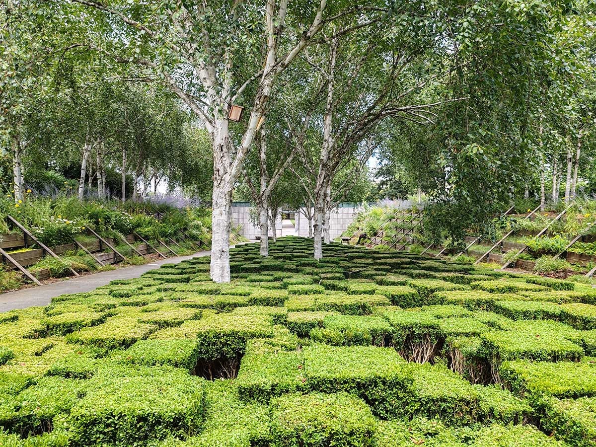 HONOR 90 kamere dan 13.jpg