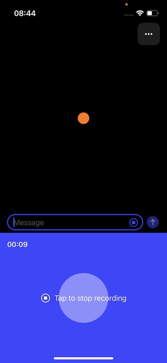 ChatGPT aplikacija 3.jpeg