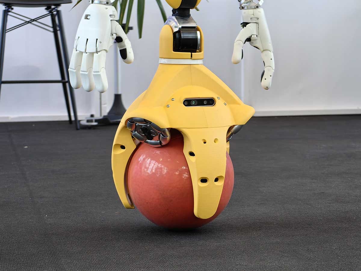 Mirokai robot IFA 12.jpg