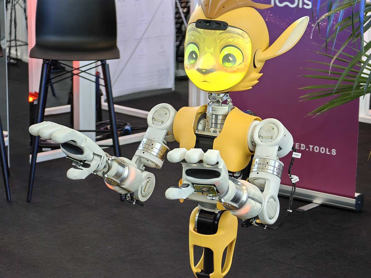 Mirokai robot IFA 6.jpg