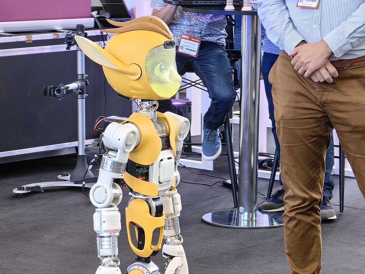 Mirokai robot IFA 8.jpg