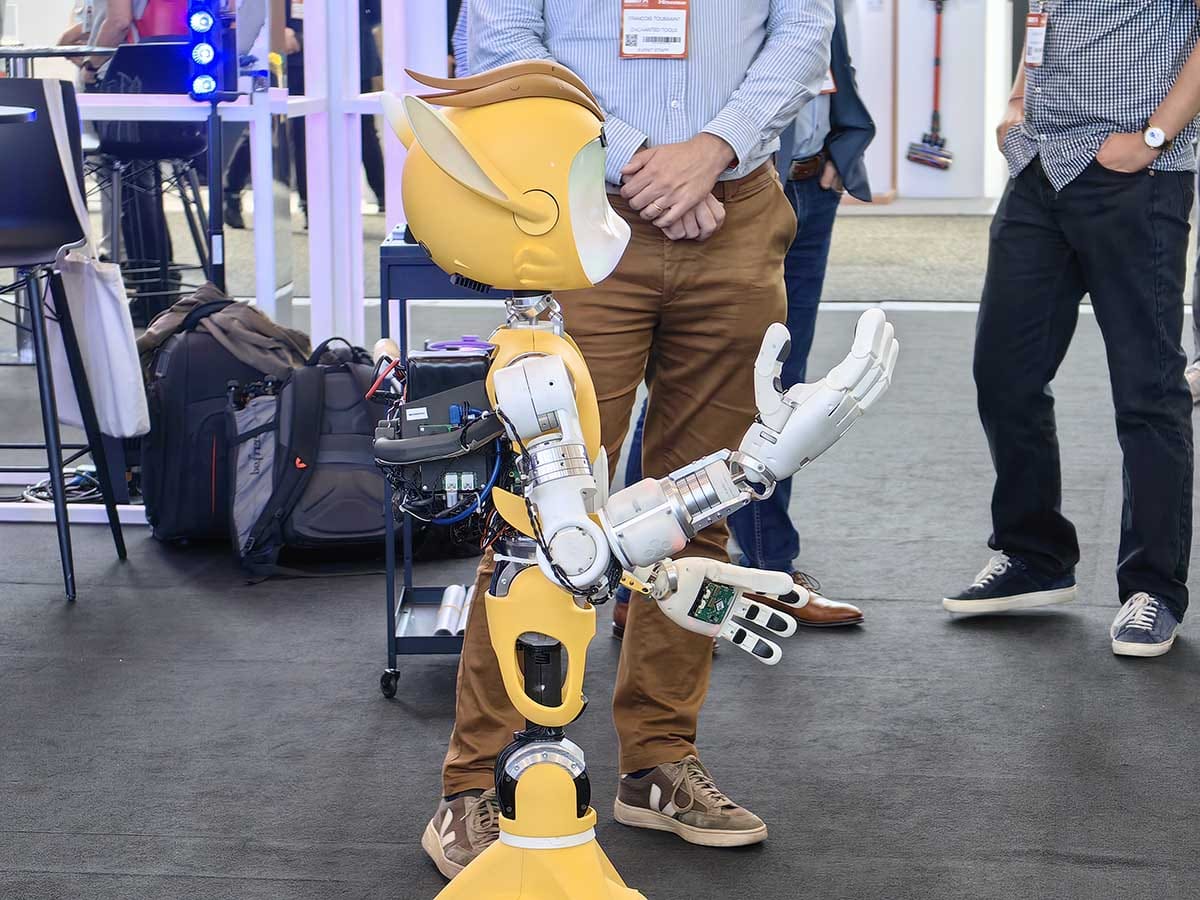 Mirokai robot IFA 7.jpg