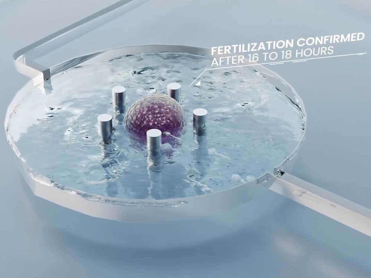 SpaceBorn United 3.jpg