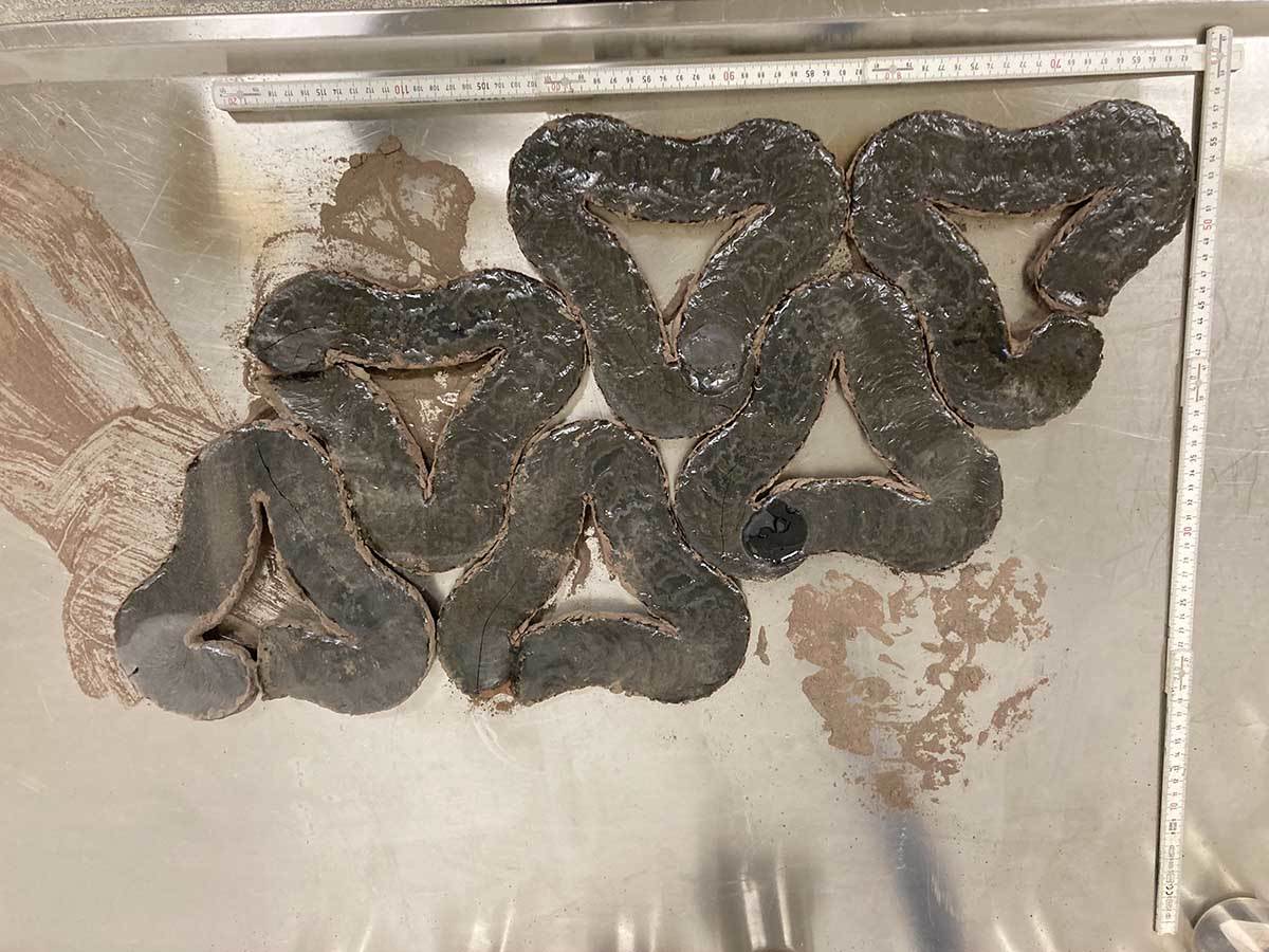 Izgradnja puta na Mesecu 1.jpg