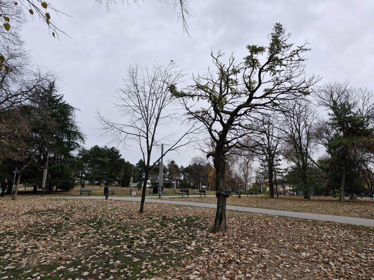 Samsung Galaxy S23 FE _ fotografije _ Foto Mondo Ilija Baošić (4).jpg