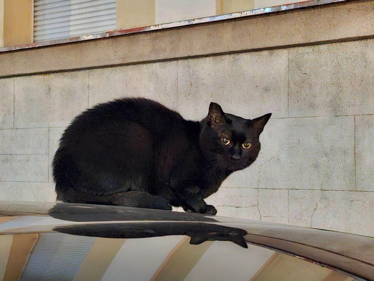 Samsung Galaxy S23 FE _ fotografije _ Foto Mondo Ilija Baošić (6).jpg