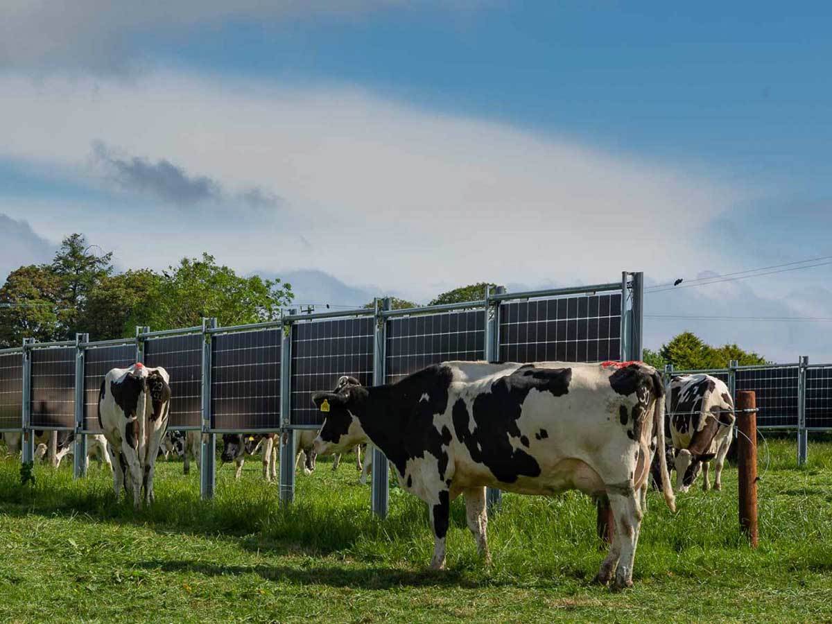 Solarne ograde 2.jpg