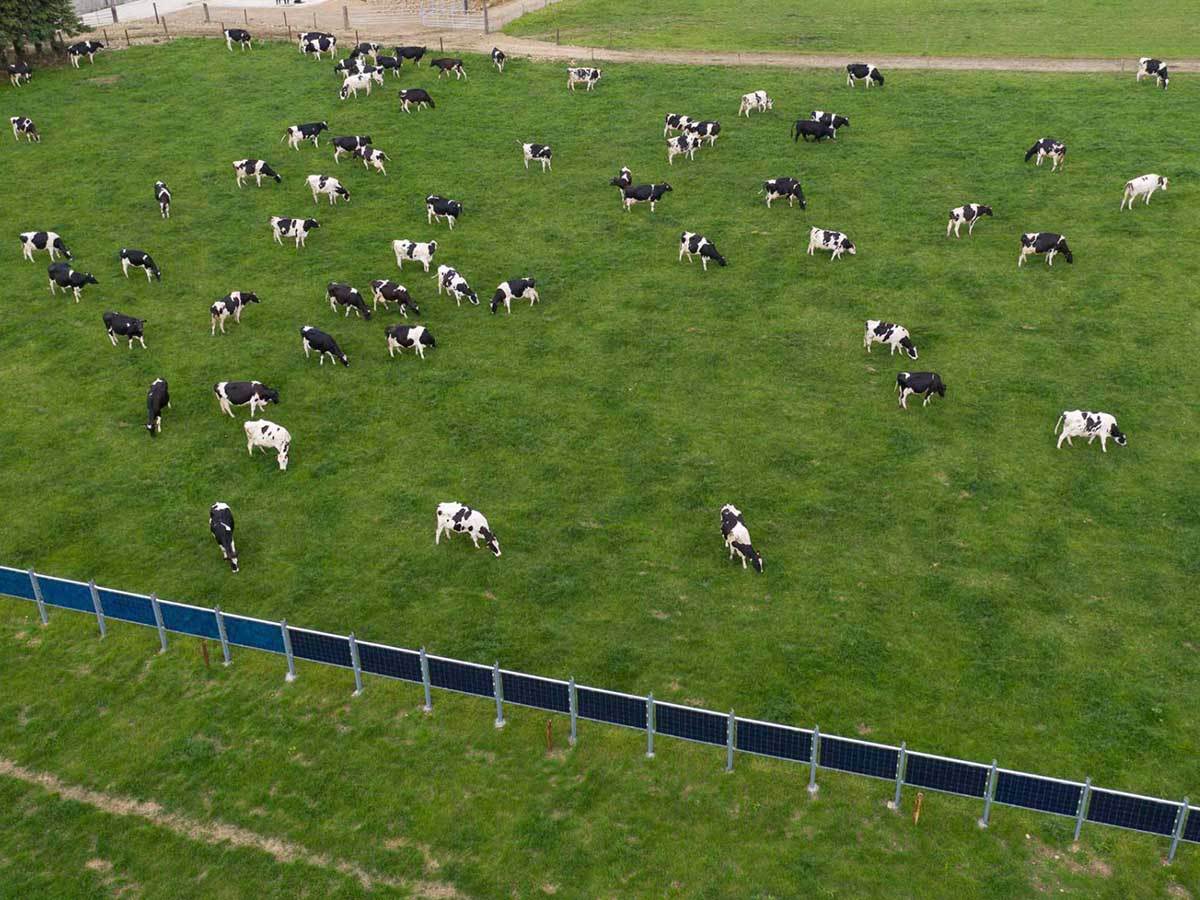 Solarne ograde 1.jpg