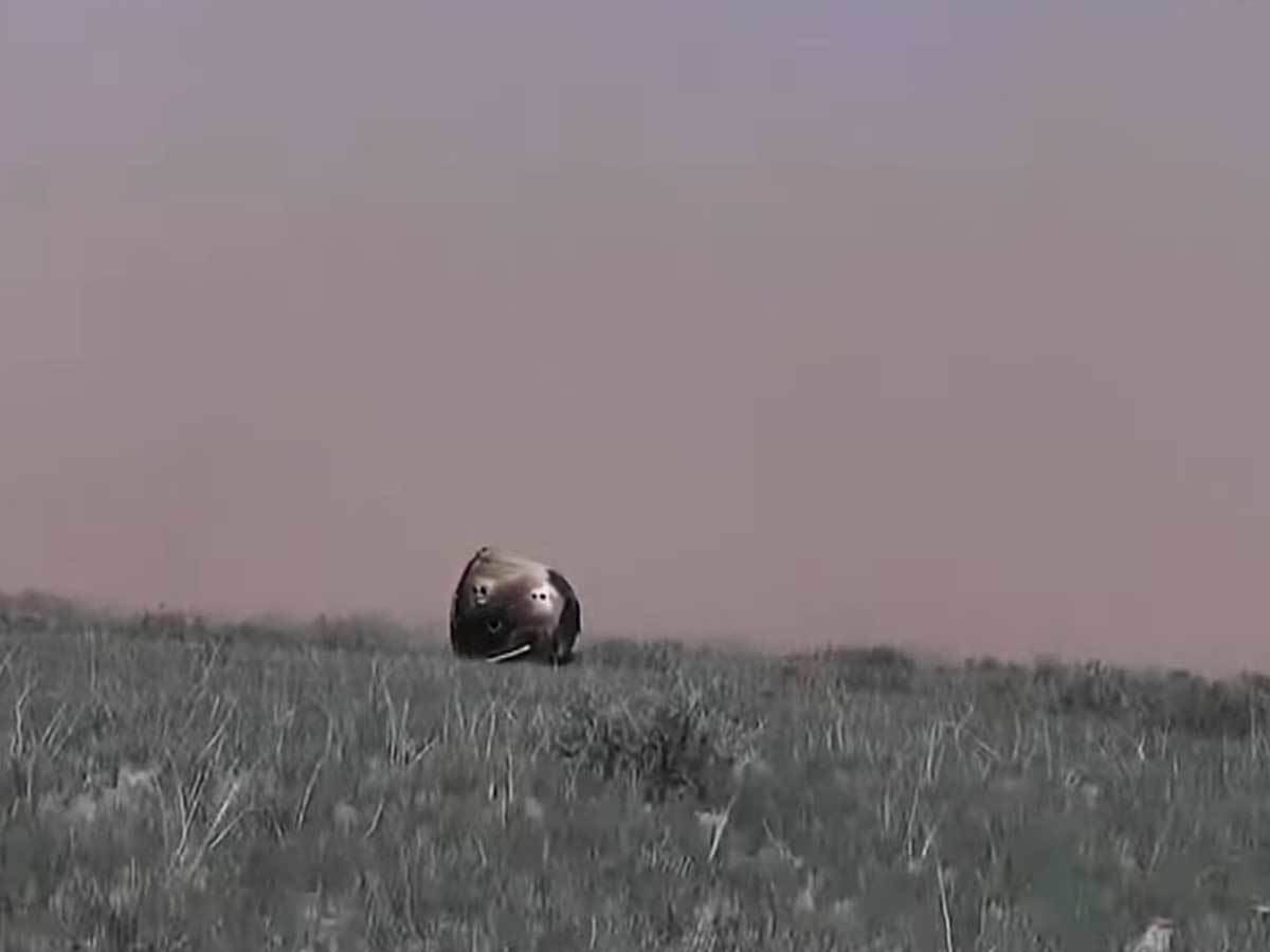 Chang'e 6 sletanje 4.jpg