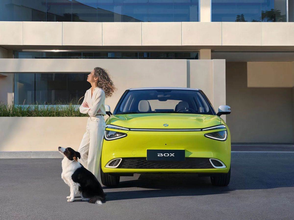 Dongfeng Nammi Box _ Foto Dongfeng (1).jpg