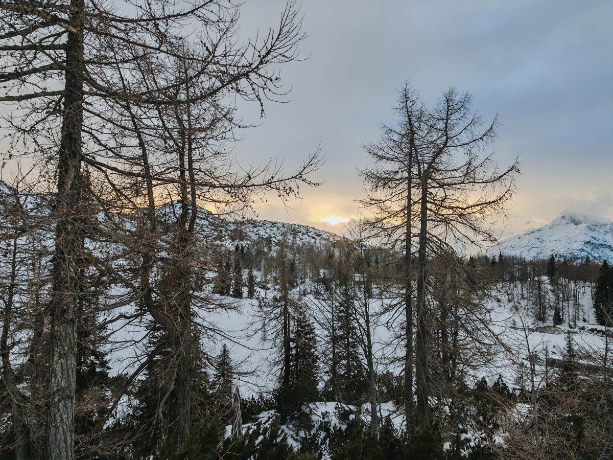 Bled _ Honor Magic7 Pro _ fotografije _ Foto SmartLife Miloš B. Jovanović (4).jpg