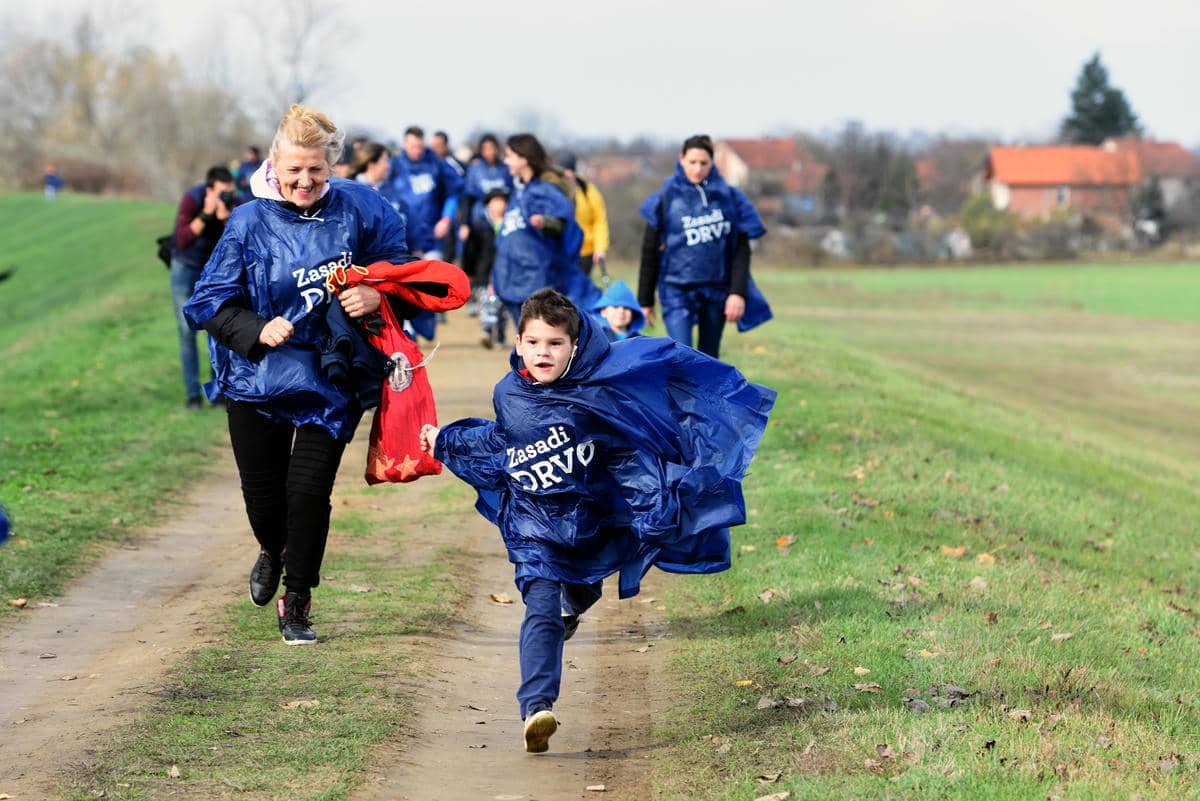 zasadi drvo (45).jpg