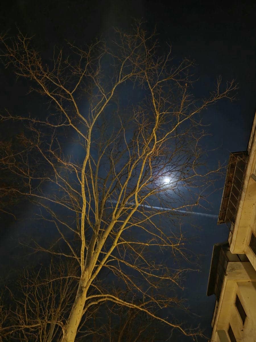 Samsung Galaxy S25 foto _ SmartLife_Miloš B. Jovanović (13).jpg