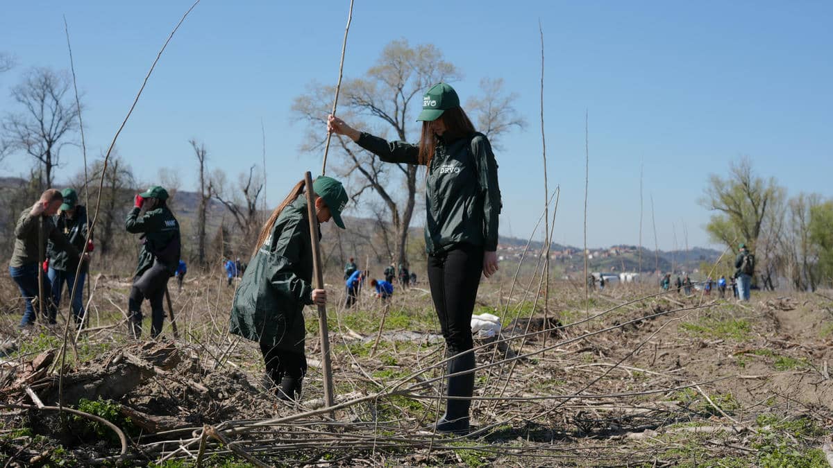 250321 Mladen Nikolic (294).jpg