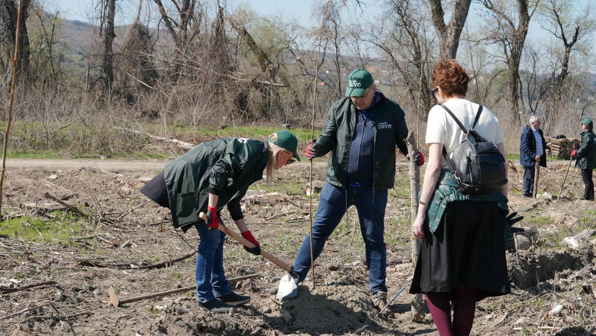 250321 Mladen Nikolic (319).jpg