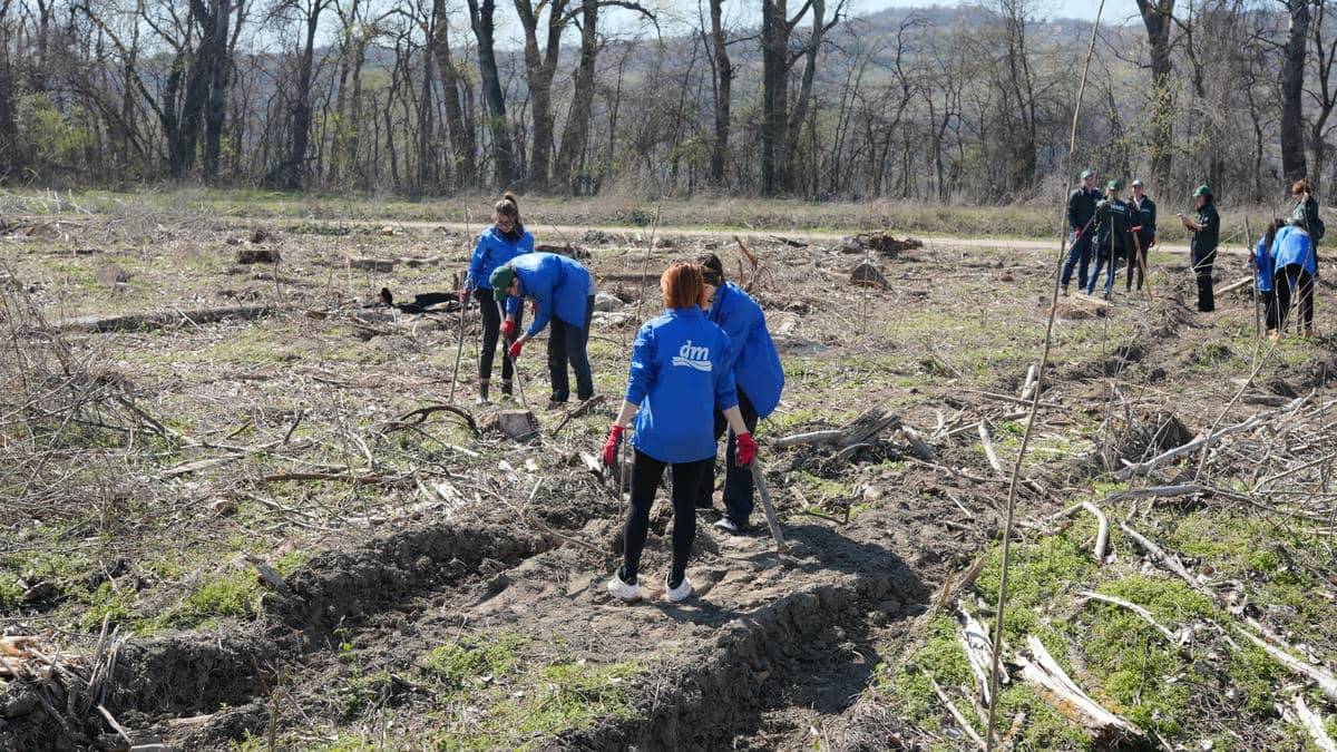 250321 Mladen Nikolic (281).jpg