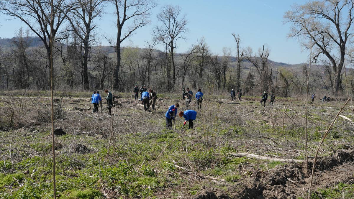 250321 Mladen Nikolic (302).jpg