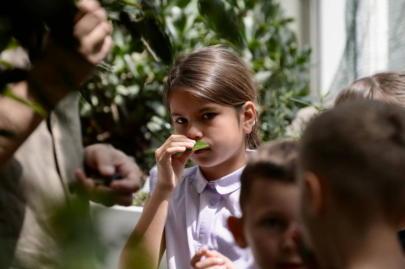 Dečija radionica Zasadi drvo 2.jpg
