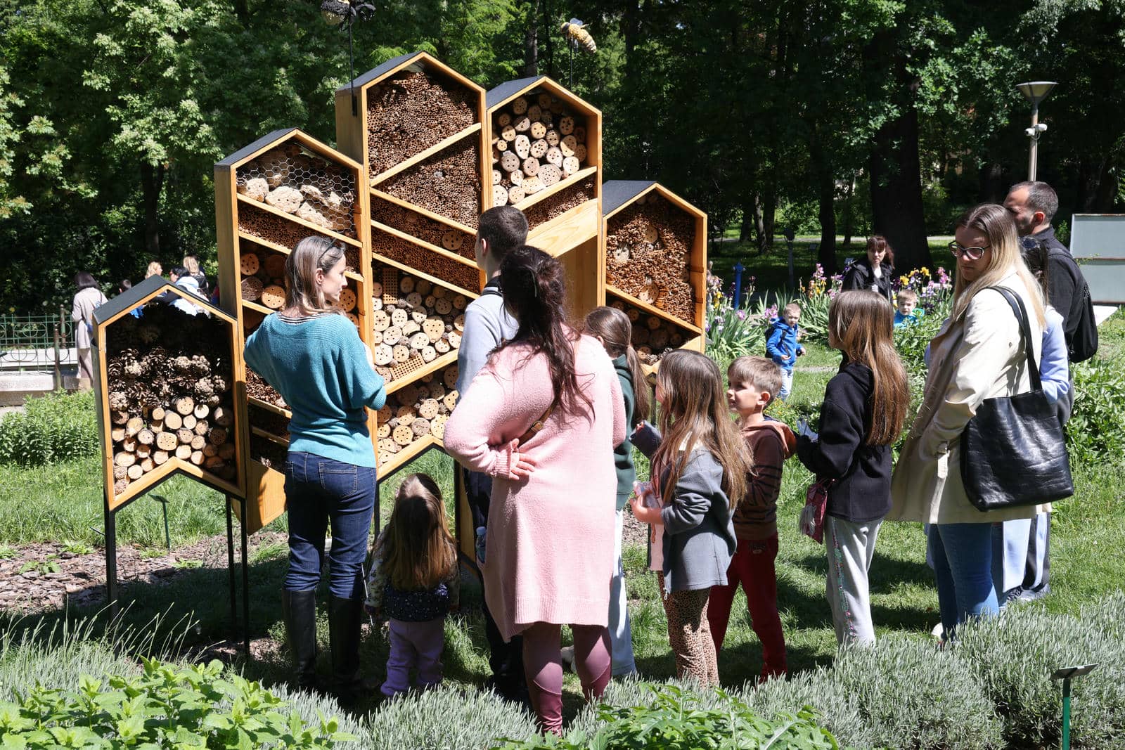 Zasadi drvo slika 5.jpg