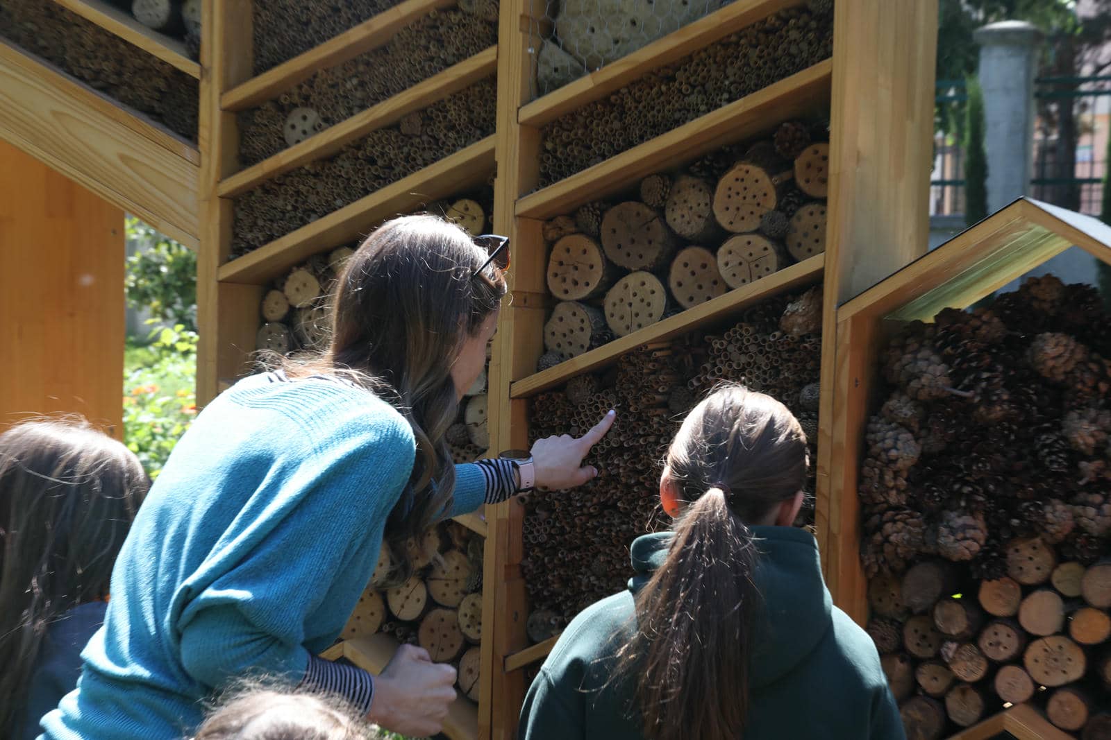 Zasadi drvo slika 6.jpg