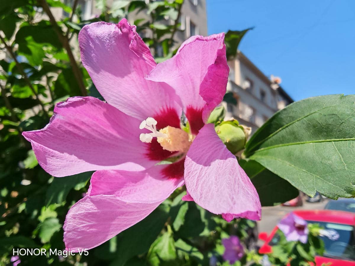 HONOR Magic V5 test kamere 11.jpg