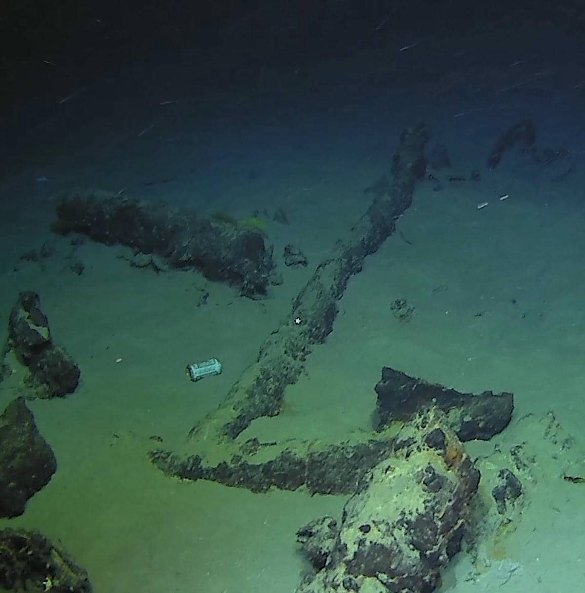 Camarat 4 slika 3.jpg