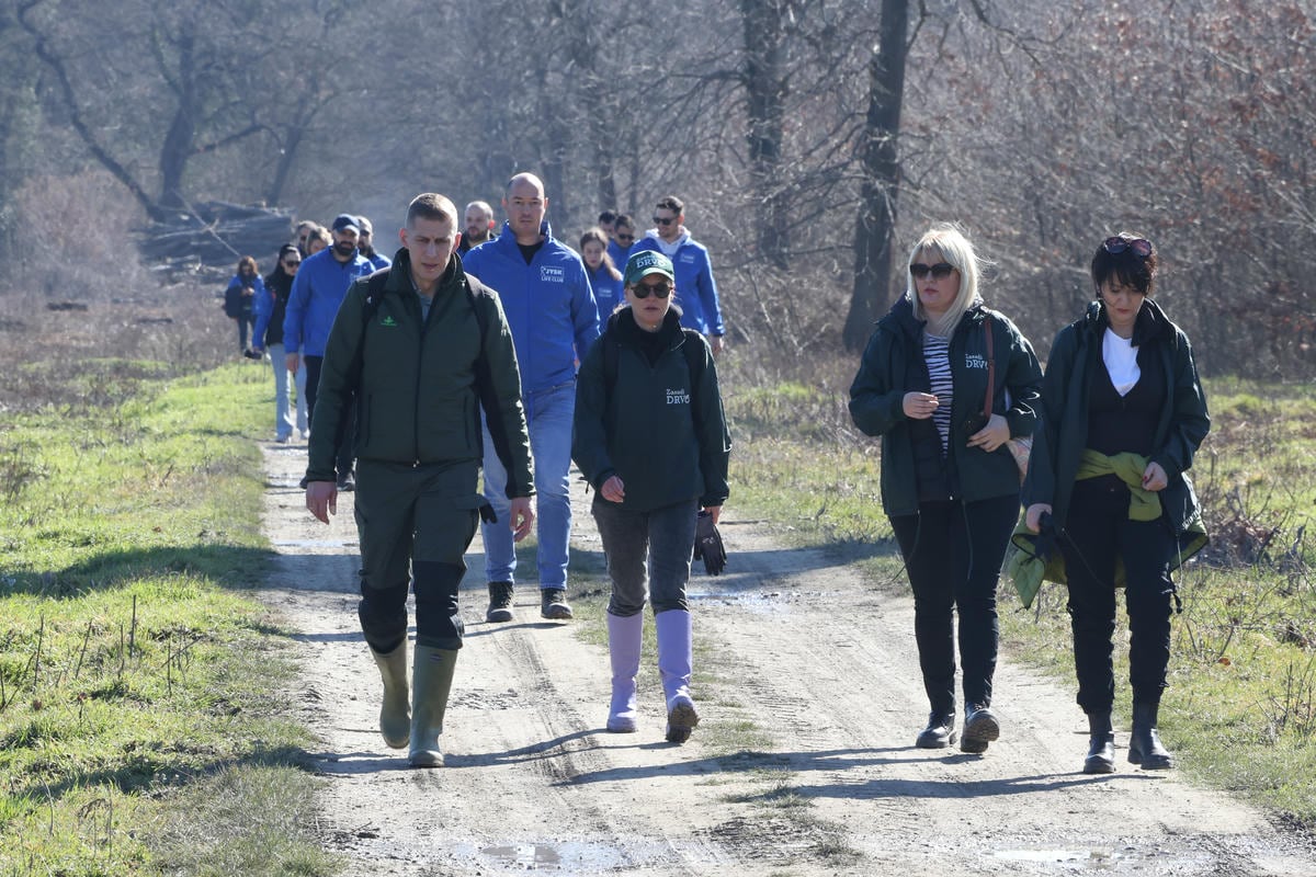 Bojčinska šuma slika 1.jpg