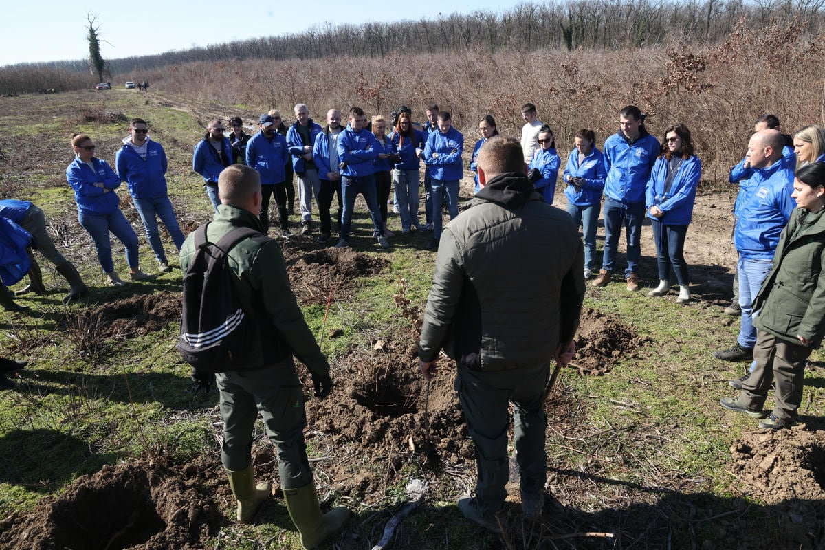 Bojčinska šuma slika 5.jpg