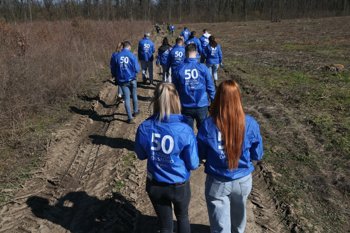 Bojčinska šuma slika 4.jpg