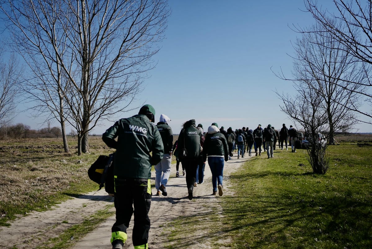 Projekat Zasadi drvo premašio 1,2 miliona sadnica