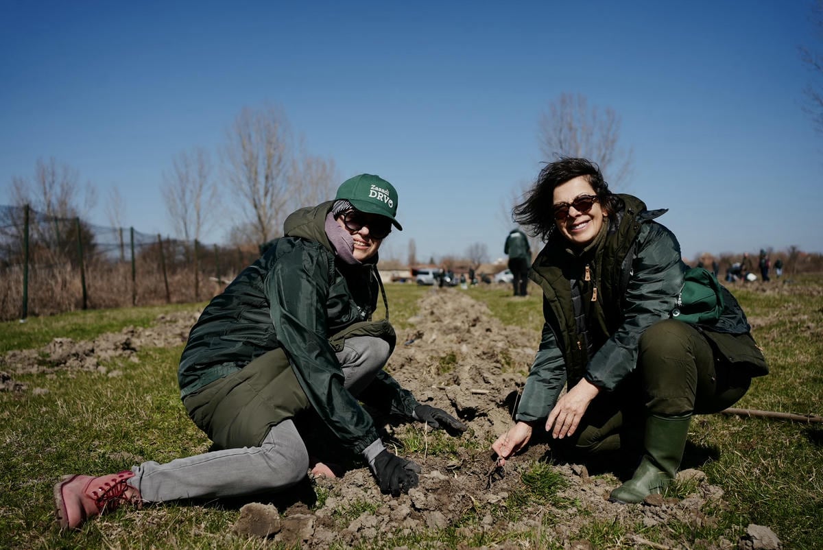 Projekat Zasadi drvo premašio 1,2 miliona sadnica