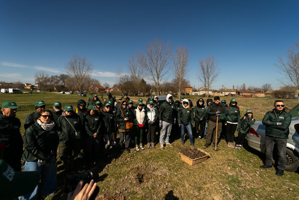 260309_Zasadi drvo PRINT-01723.jpg