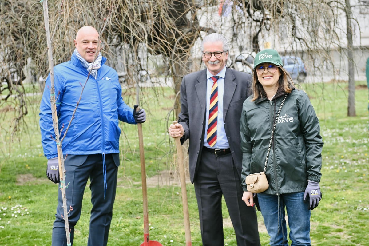 Zasadi drvo slika 4.jpg