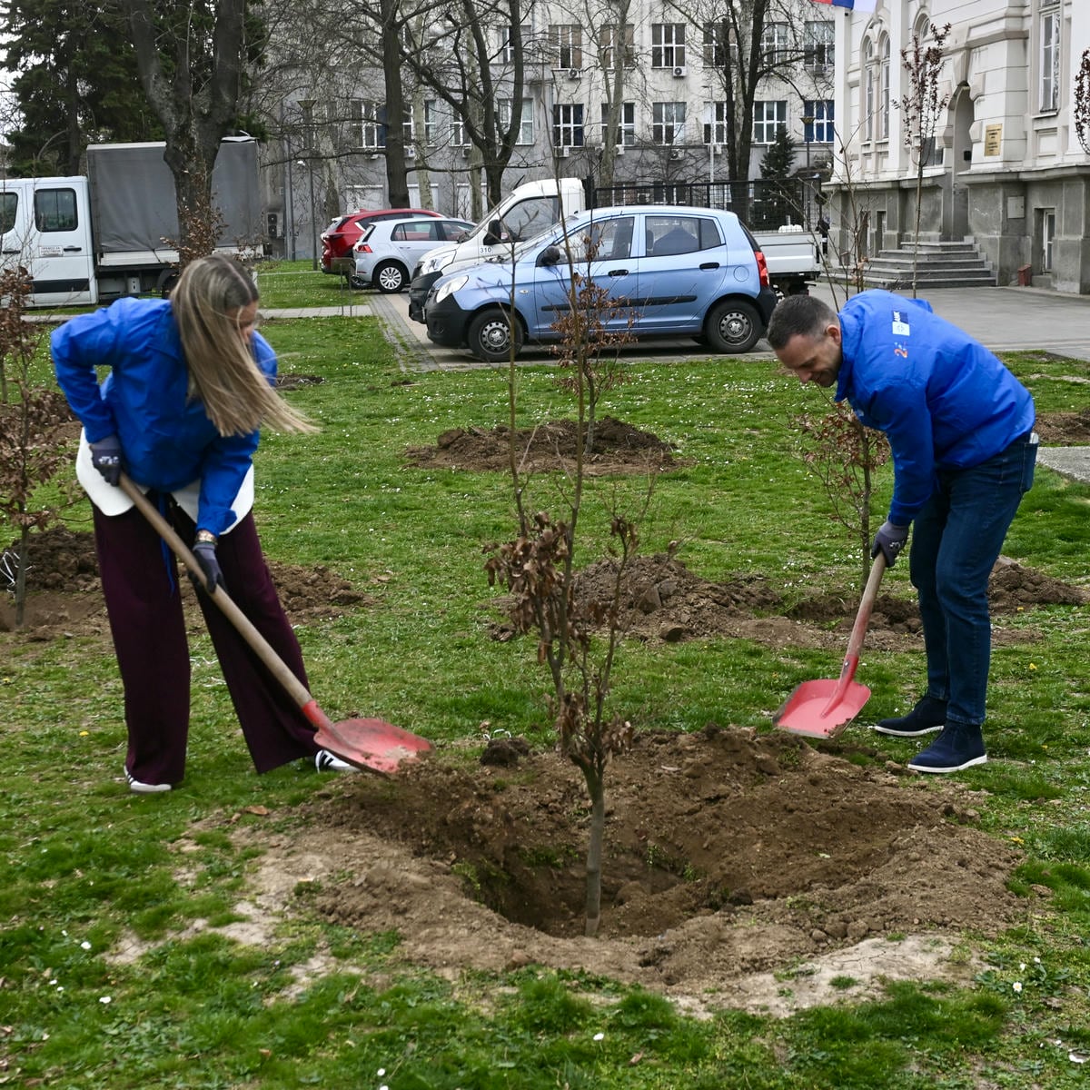 Zasadi drvo slika 7.jpg