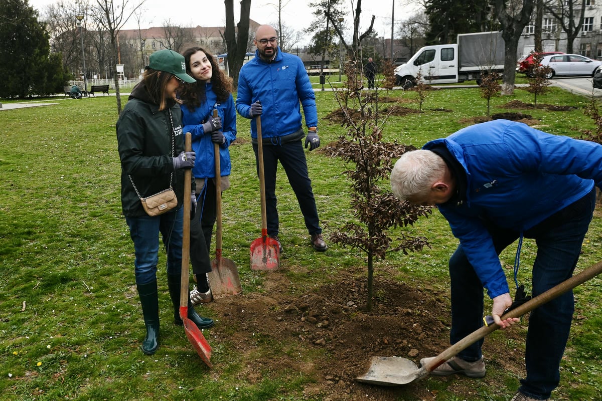 Zasadi drvo slika 8.jpg