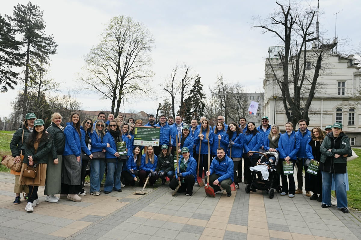 Zasadi drvo slika 9.jpg