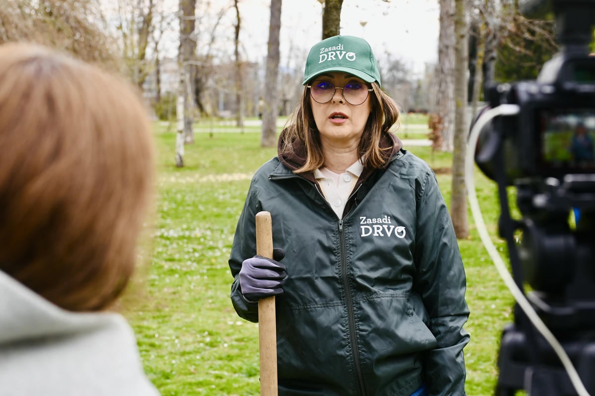 Zasadi drvo slika 10.jpg