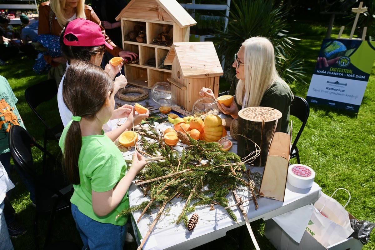 Eko festival slika 1.jpg