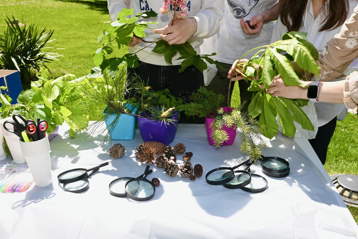 Eko festival slika 2.jpg