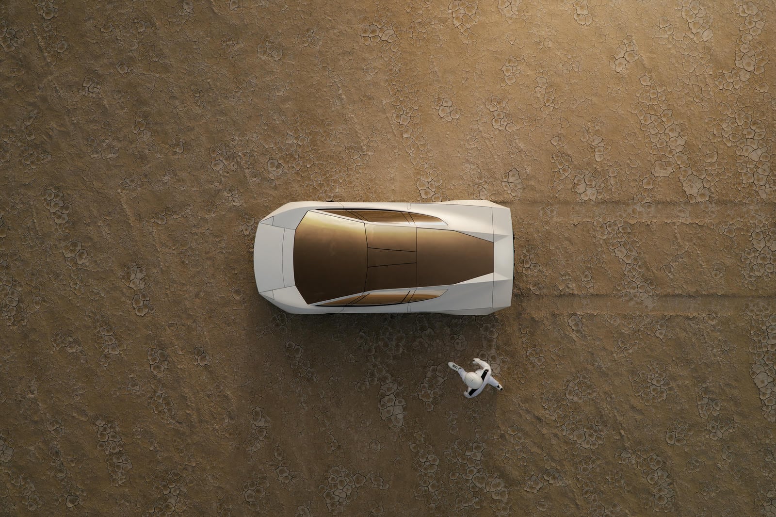 Roadster_92.jpg