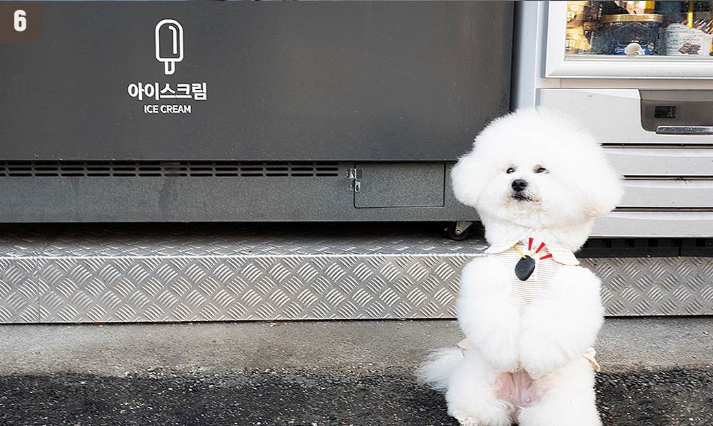 samsung galaxy smarttag cena 55 evra kako radi rešenje za izgubljene stvari