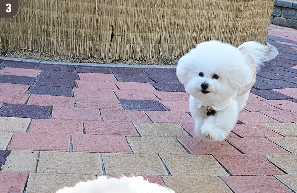 samsung galaxy smarttag cena 55 evra kako radi rešenje za izgubljene stvari