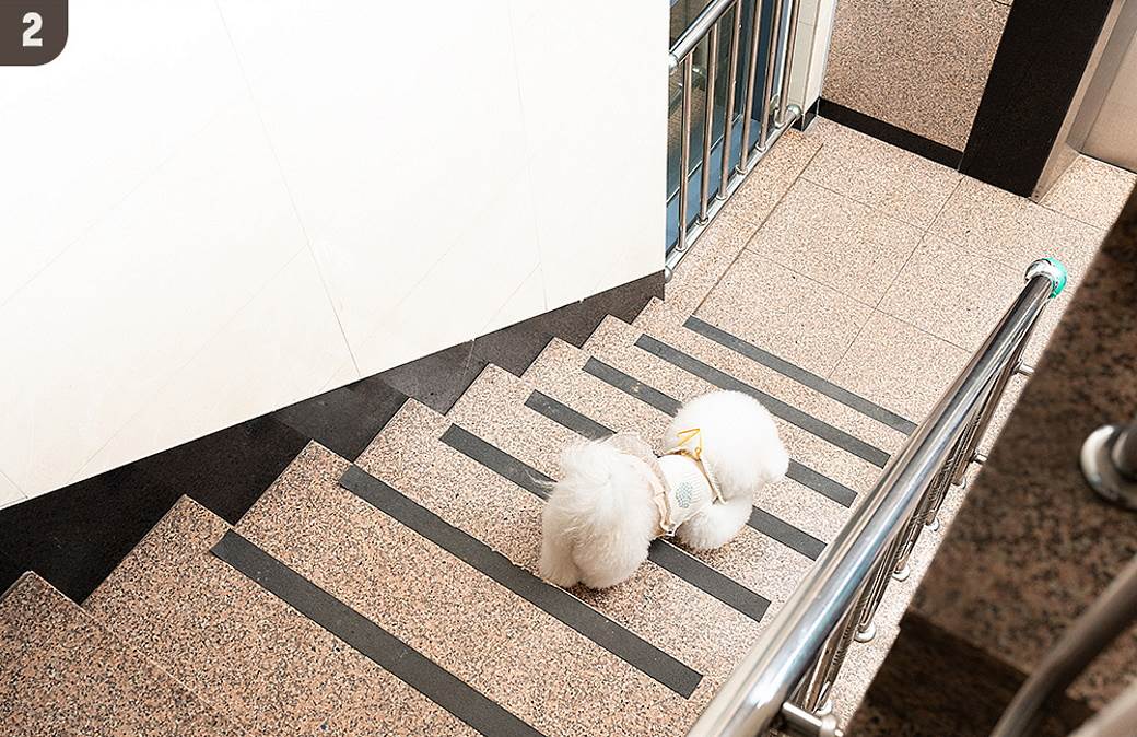 samsung galaxy smarttag cena 55 evra kako radi rešenje za izgubljene stvari