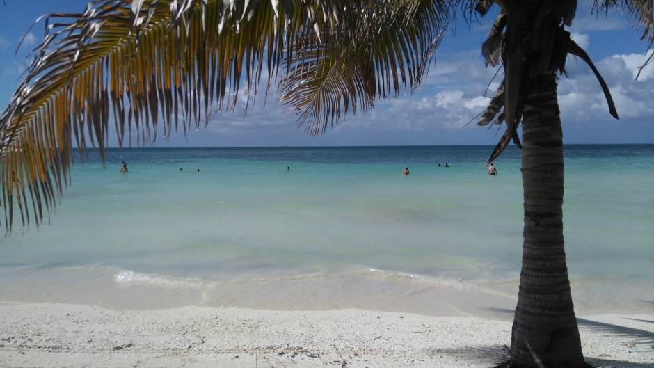 Kuba blokada Twitter naloga politicara i medija