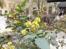 realme 10 kamera 3.jpg